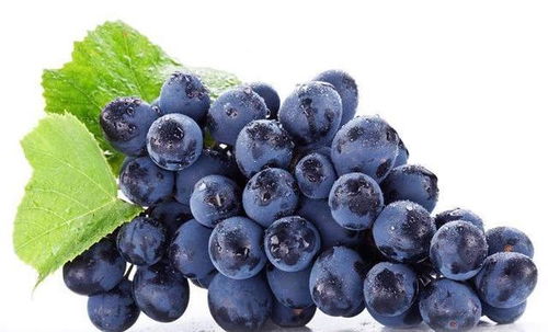 核桃和葡萄的启示