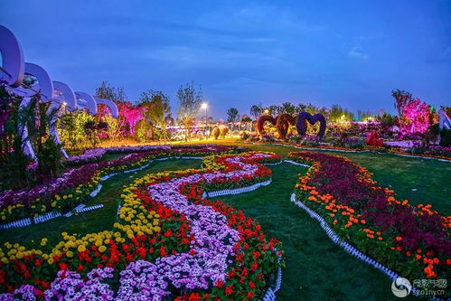 南阳月季：美丽的传奇