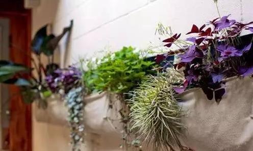 五、 窗帘的布袋：保护与美化的双重身份