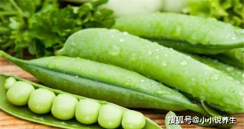 豌豆篇：清凉一夏，豌豆来帮忙