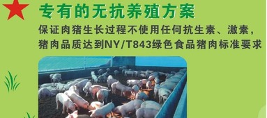 科学用药，保障养殖健康