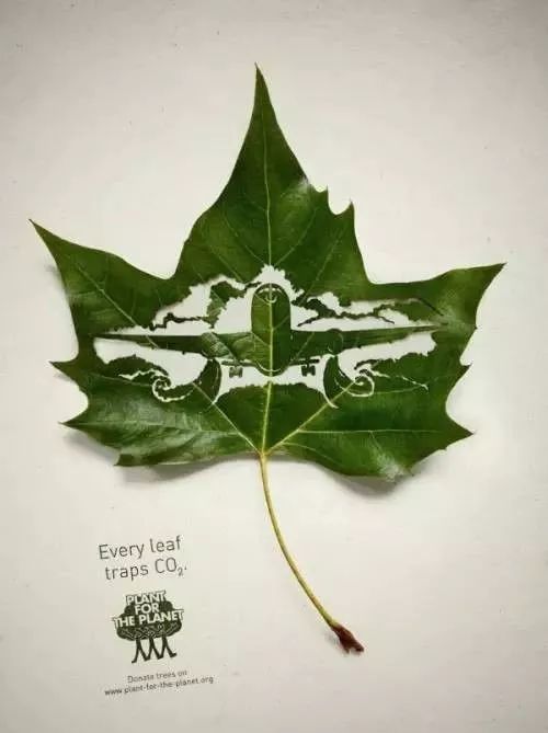 草木印记的痕迹：是环保行动留下的永久印记吗？