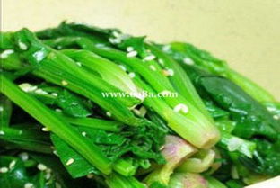 菠菜价格波动剧烈，近期行情不稳定