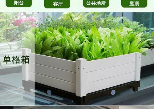 自制吊挂种植箱