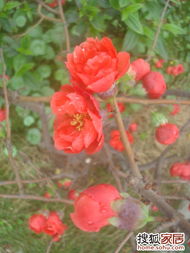 春天播种指南：新手必读