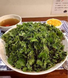 香菜怎么吃最有营养？试试凉拌或炒菜