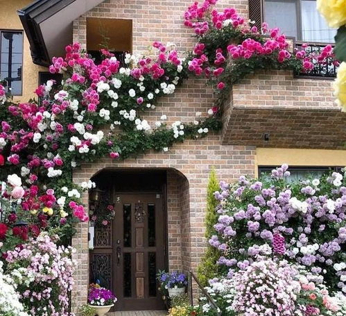 带土移栽，保护根系