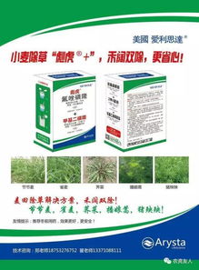 小麦田除草剂，你了解多少？