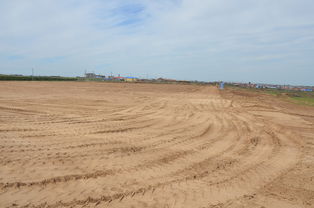 畜牧粪便变废为宝，绿色肥料新选择