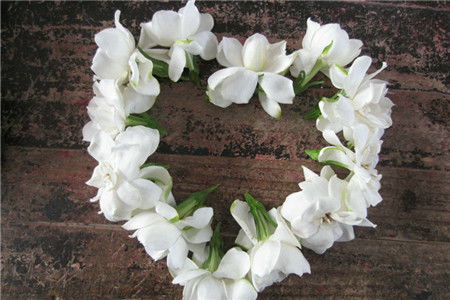 春季播种：生机盎然