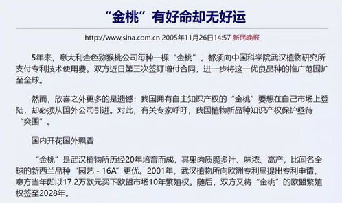 奇异果出口转内销身价倍增，引发行业反思