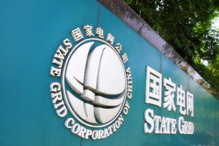 中化集团，咱们国家的大公司