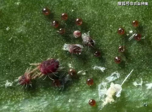 书上说是这么说但我信不信呢？