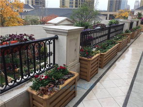 根据花箱位置，确定植物类型