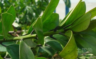 价格相差多少，你知道吗？