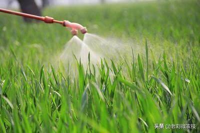 不同农药，效果表现不同