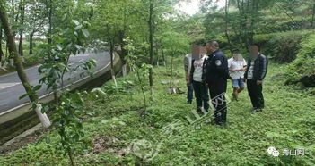 国道两边的植物，你知道它们背后的故事吗？