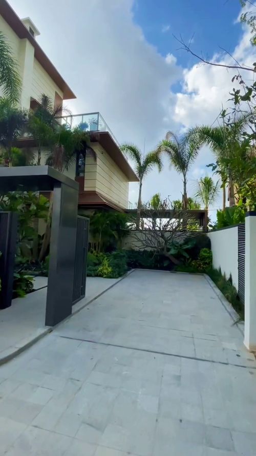 热带庭院必备：这些花草你不可不知