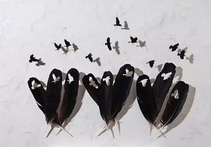 第四步：工笔技法，渲染羽毛的生动感