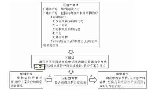 蛋鸡鼻炎防控策略与成因剖析