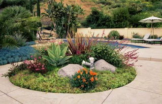 景观设计的大杂烩