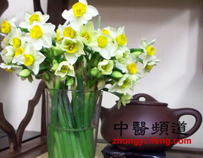 楼顶绿色天堂适合种植哪些植物？需要注意哪些种植事项