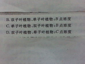 除草剂也Neng当生长素？揭秘高效除草剂的秘密