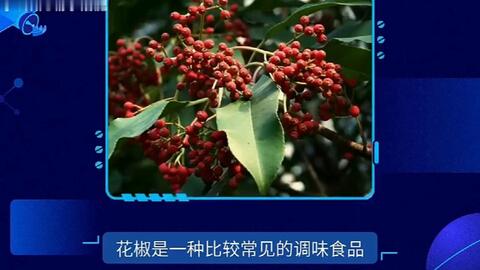 花椒种植最适合使用什么肥料？
