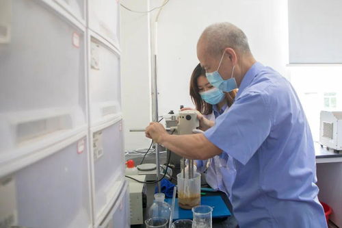 寻找中生菌素原药，质量哪家强？