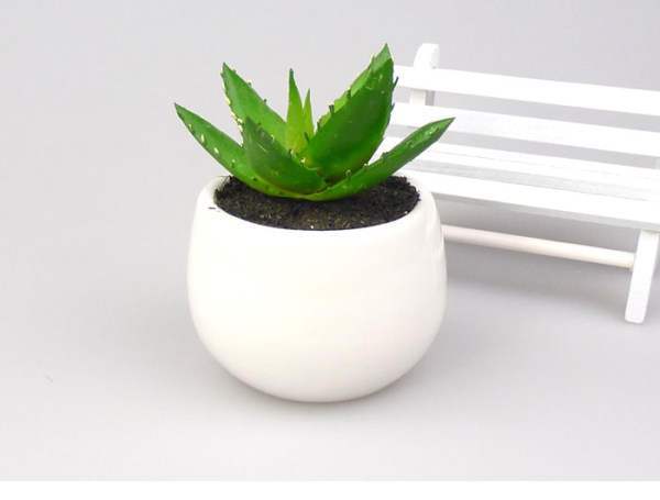 斜坡植物施肥，如何选择合适的肥料