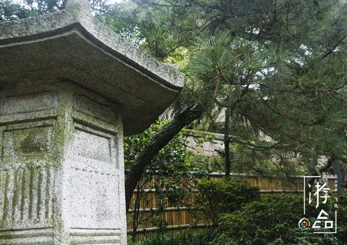 园林之美， 重庆市园林集团有限公司的匠心独运