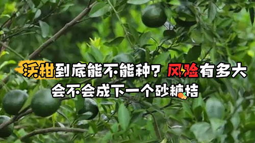 雨季播种要点有哪些呢？