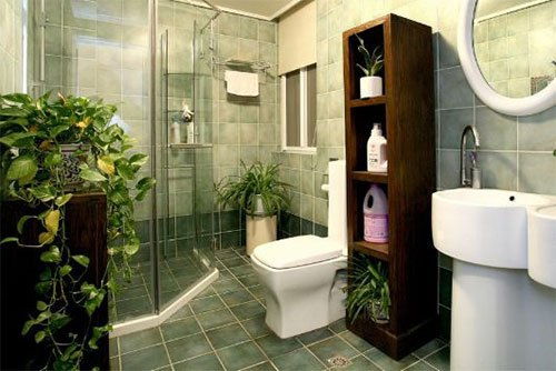 4. 使用活性炭、 植物吸附，去除有害气体