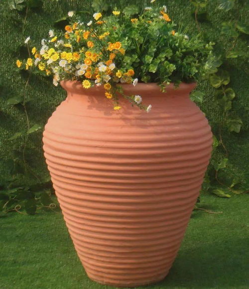 香炉花盆种花时这些花卉可别乱种哦！