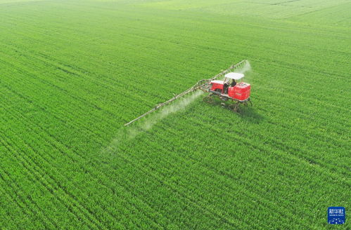 水源：农药流入河流， 带来污染