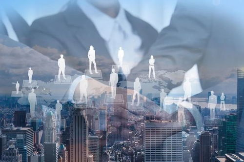 揭秘印度人如何用创新养殖法养活13亿人口