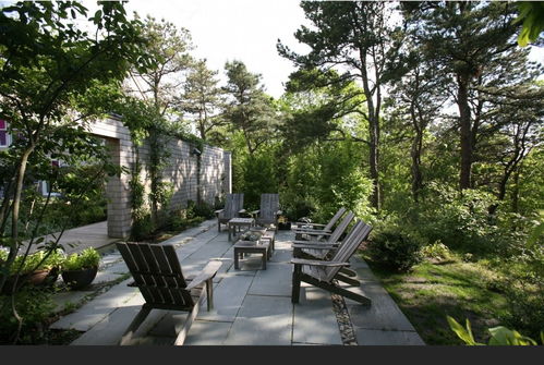 庭院里的绿意盎然