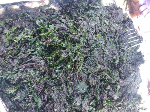 不洗，后果hen严重