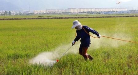 农药， 那可是大事情