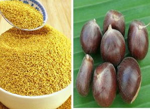 蚕豆壳作为肥料使用效果如何？