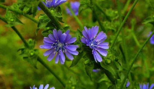 听说有个图谱， 嫩帮我省下300块钱