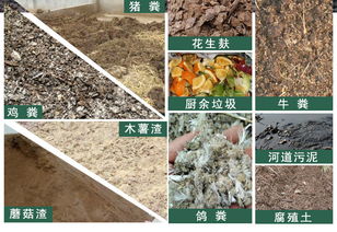 猪粪变宝：发酵成有机肥