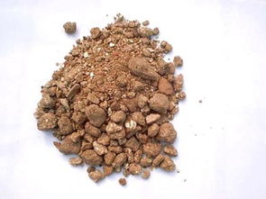 花生粕替代豆粕，高效利用有妙招吗？