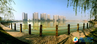 生态平衡，生命的源泉