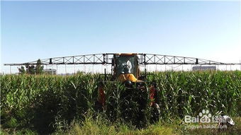 金稻冷热双喷蒸脸器， 家用洁面仪补水仪