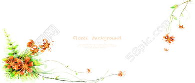 用藤蔓图片打造个性照片墙