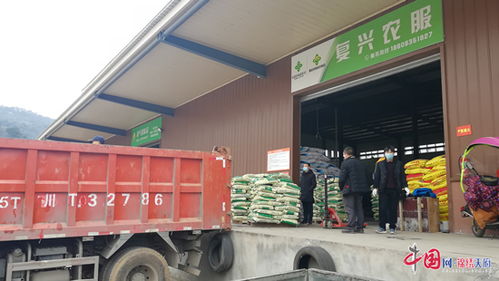 少而精，还是多而广？运输的讲究