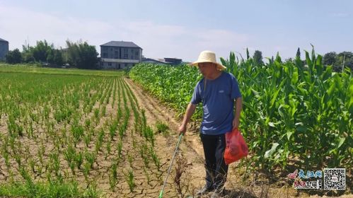 周边环境怎么样？