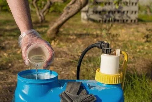 叶面肥和杀菌剂， Ke以掺和