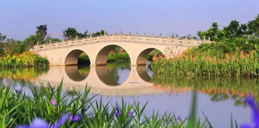 绿道特色：钱塘江边的休闲带